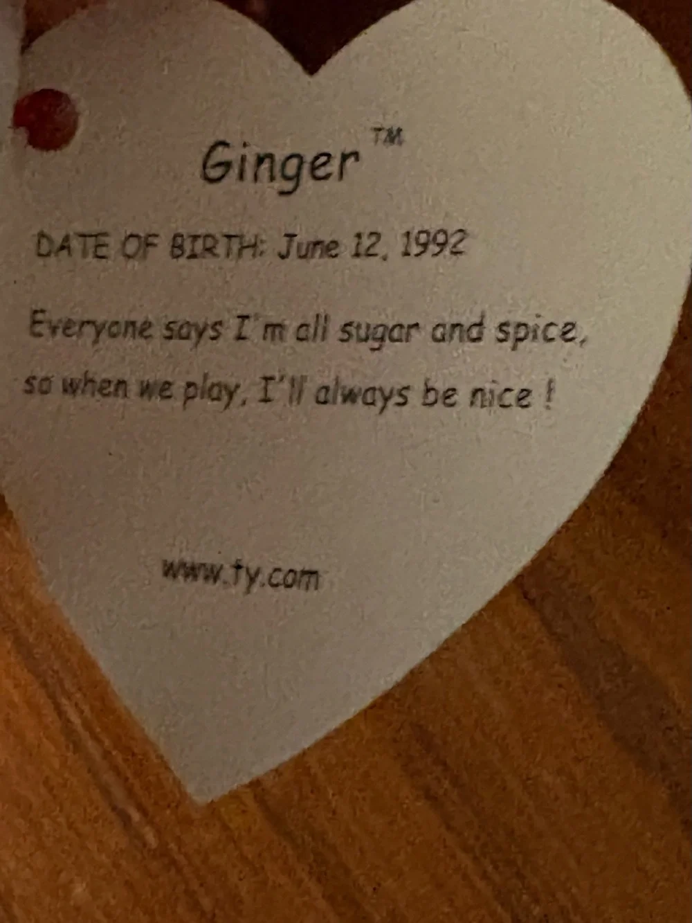 Ty Ginger 1992
